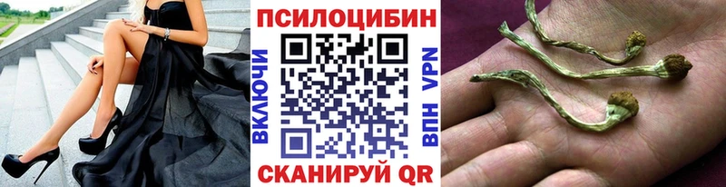 Купить  Сертолово  Псилоцибиновые грибы мицелий 